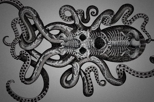 Kraken dark