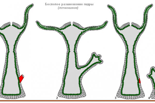 Кракен 2krnk cc