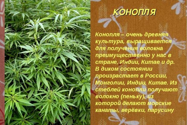 Что такое кракен площадка