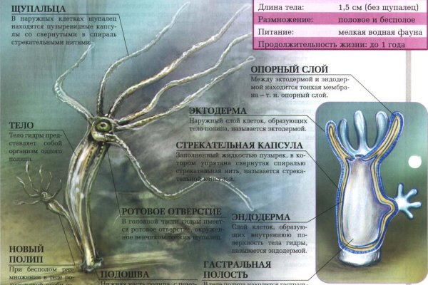 Кракен актуальная ссылка тор