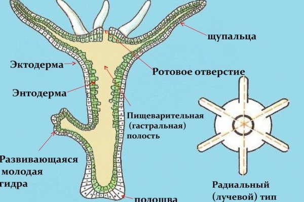 Кракен сайт kr2web
