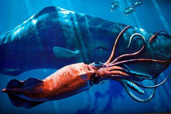 Kraken ссылка зеркало официальный