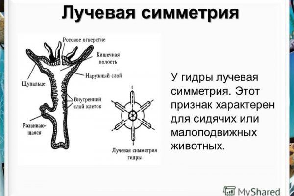 Взломали аккаунт на кракене что делать